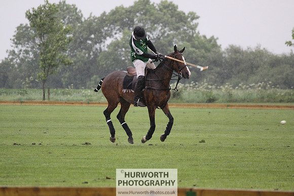 White Rose Polo 298