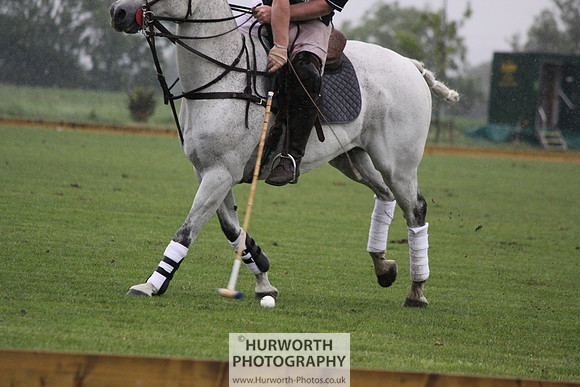 White Rose Polo 299