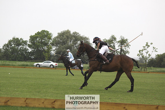 White Rose Polo 003