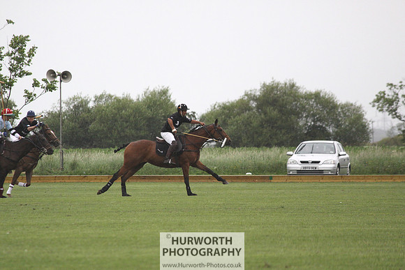 White Rose Polo 008