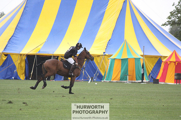 White Rose Polo 013