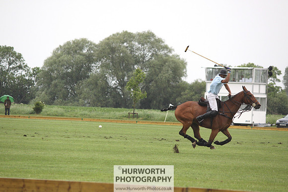 White Rose Polo 018
