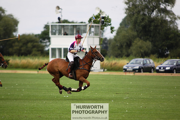 White Rose Polo 001