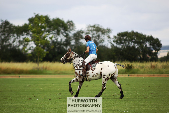 White Rose Polo 002