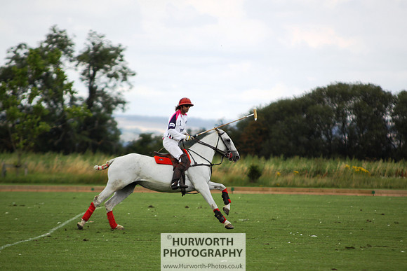 White Rose Polo 003