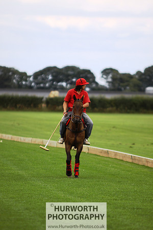 White Rose Polo 004