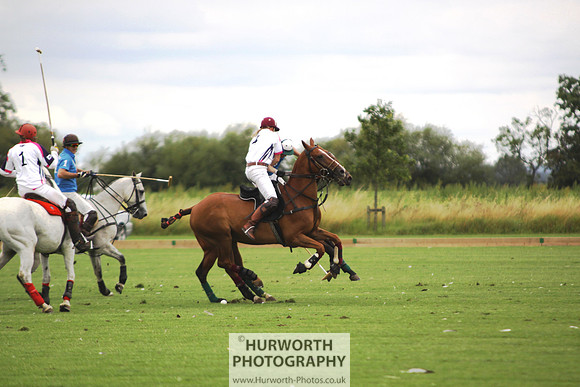 White Rose Polo 005