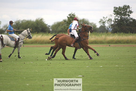 White Rose Polo 006