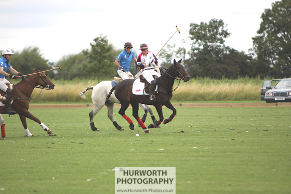 White Rose Polo 007