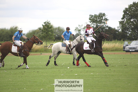 White Rose Polo 008