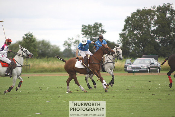 White Rose Polo 009