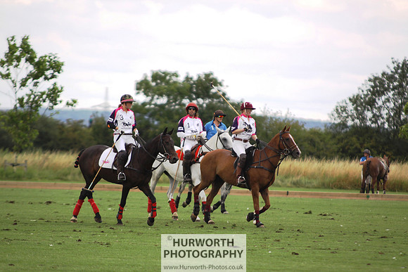 White Rose Polo 010