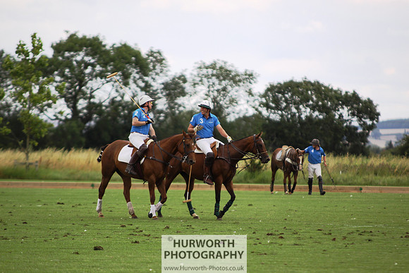 White Rose Polo 012