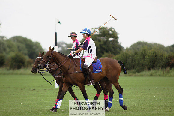 White Rose Polo 013