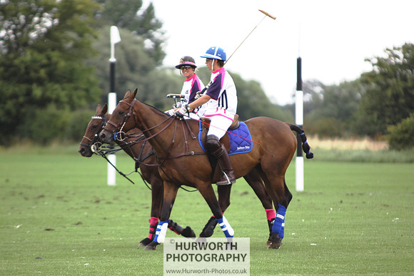 White Rose Polo 014