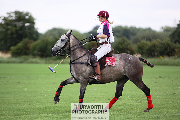 White Rose Polo 015