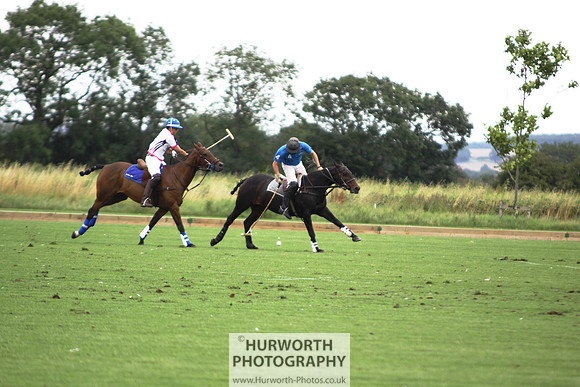 White Rose Polo 016
