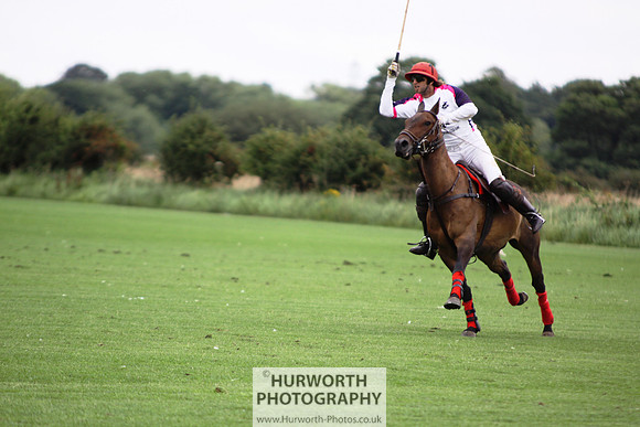 White Rose Polo 017