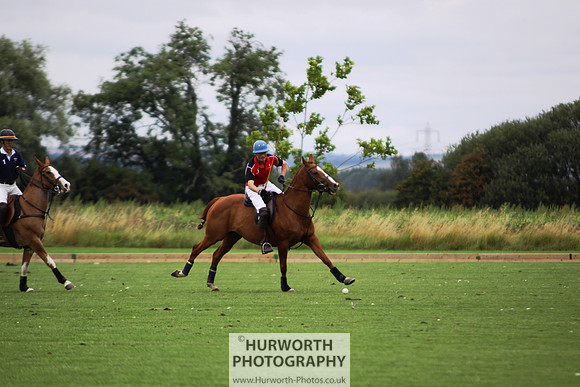 White Rose Polo 003