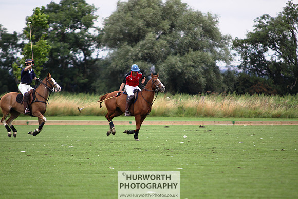 White Rose Polo 001