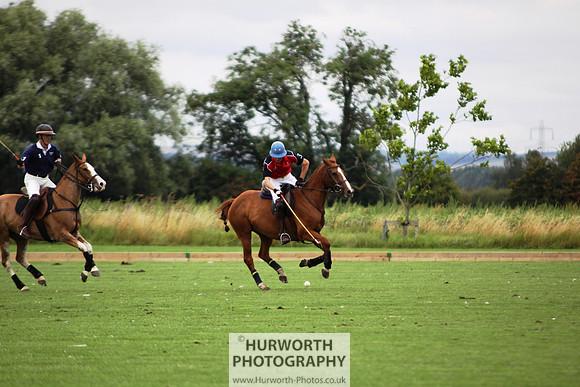 White Rose Polo 002