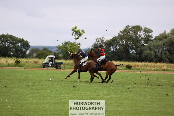 White Rose Polo 004