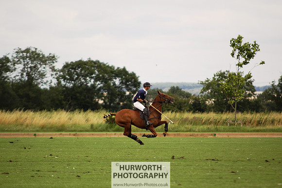 White Rose Polo 005
