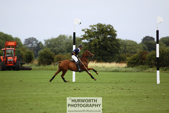 White Rose Polo 006