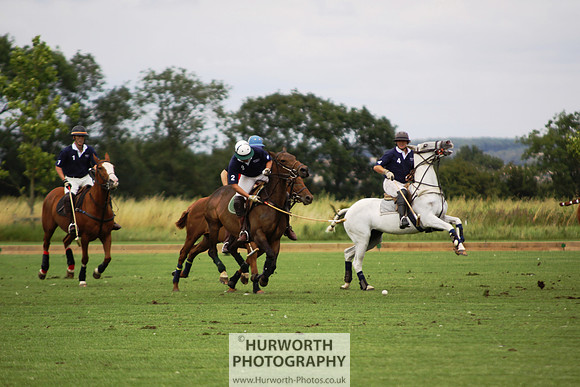 White Rose Polo 007