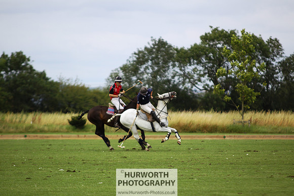 White Rose Polo 008