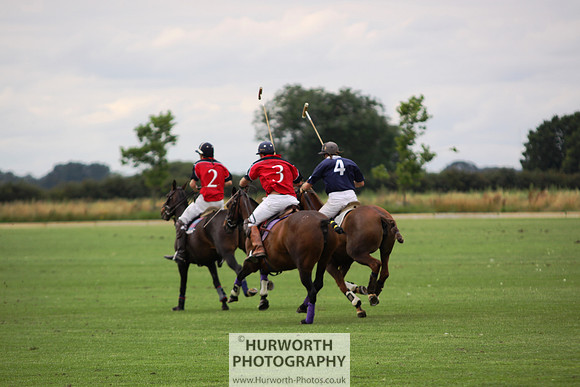 White Rose Polo 010