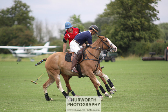 White Rose Polo 011