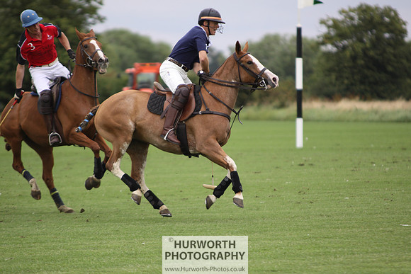 White Rose Polo 012