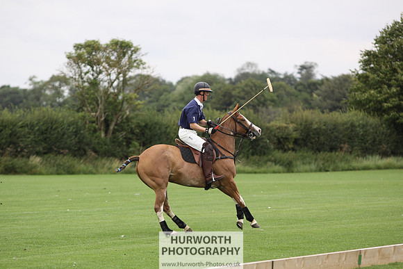 White Rose Polo 013