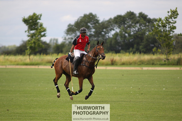 White Rose Polo 015
