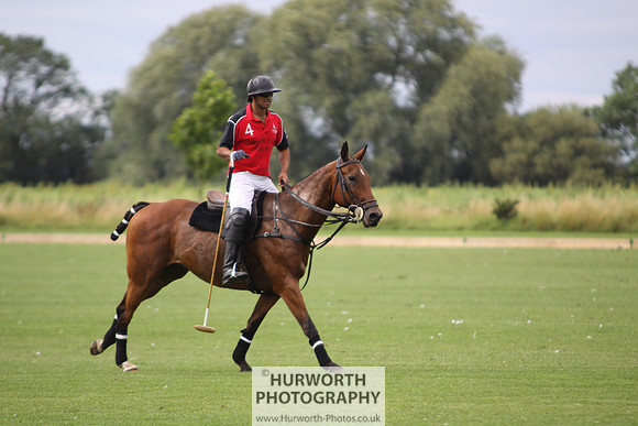 White Rose Polo 016
