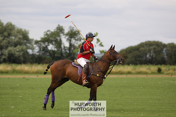 White Rose Polo 017