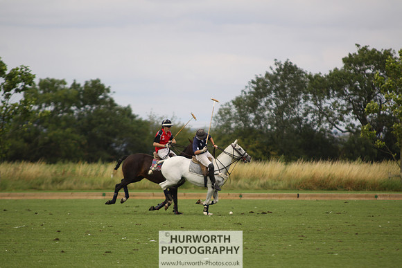 White Rose Polo 019