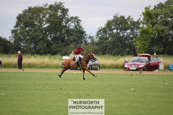 White Rose Polo 020