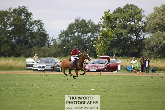 White Rose Polo 021
