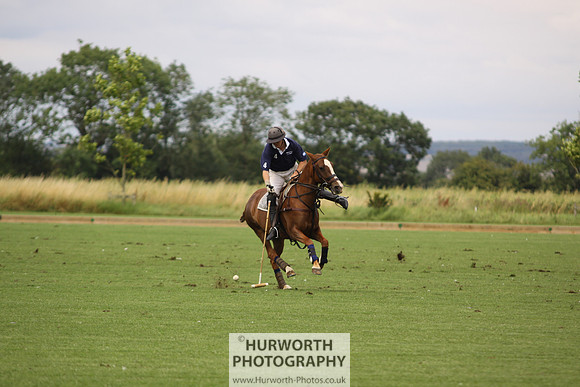 White Rose Polo 022