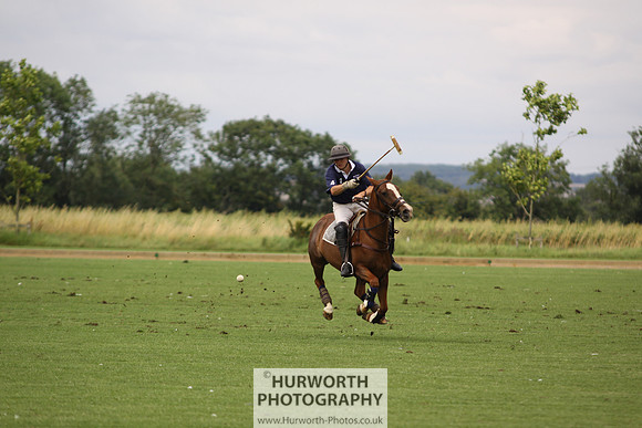 White Rose Polo 024