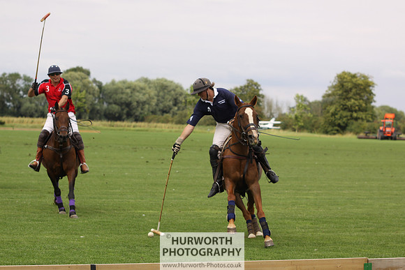 White Rose Polo 025