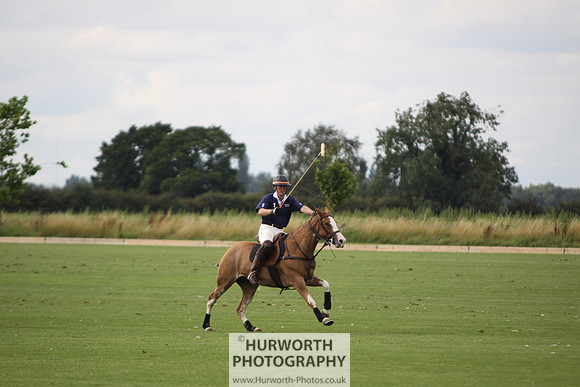 White Rose Polo 027