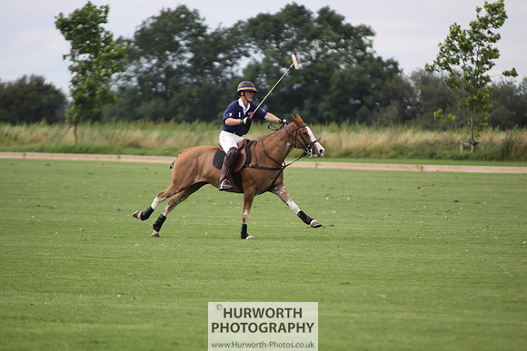 White Rose Polo 028