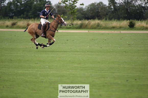 White Rose Polo 029