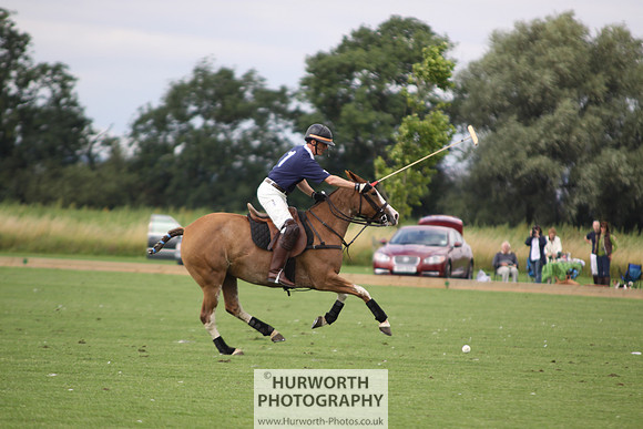 White Rose Polo 030