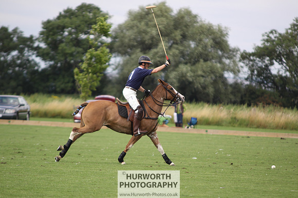 White Rose Polo 031