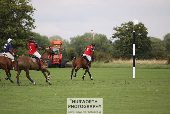 White Rose Polo 032