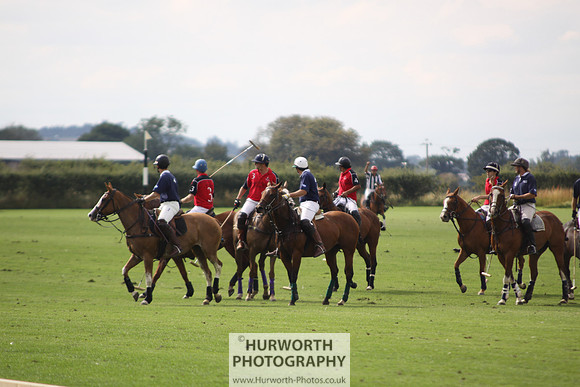 White Rose Polo 033